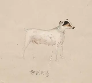 Bijantu