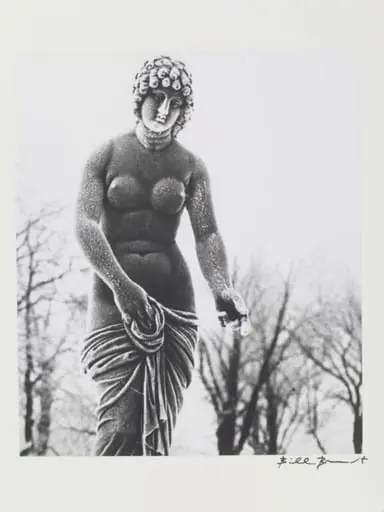Crystal Palace Gardens, London, by Bill Brandt