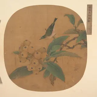 明   佚名   （舊傳）吳炳   枇杷   扇|Bird on a Loquat Tree, by After Wu Bing