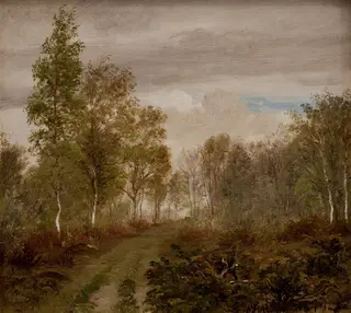 Birketræer på Læsø efter regn, by P. C. Skovgaard