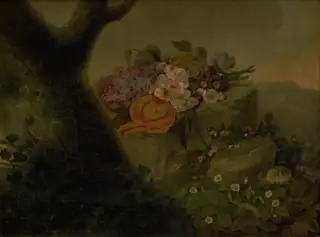 Blomster på en sten