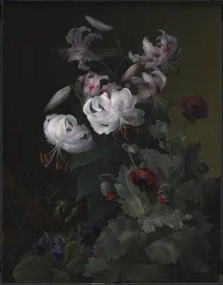 Blomstrende planter