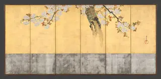 酒井抱一筆　桜図屏風|Blossoming Cherry Trees, by Sakai Hōitsu