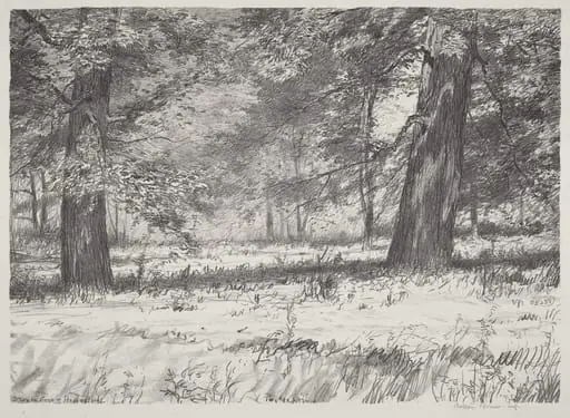Two Maples, by Bolton Brown