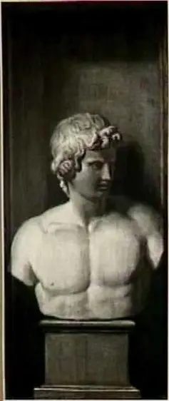 Borstbeeld van Antinous