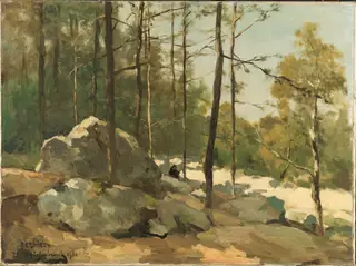 Bosgezicht nabij Barbizon