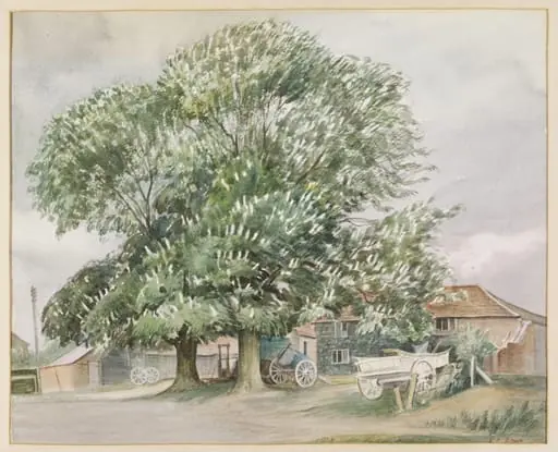 Stream Acre, Holybourne, Alton, by Bown