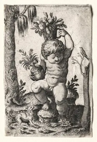 Boy with Fruit Basket