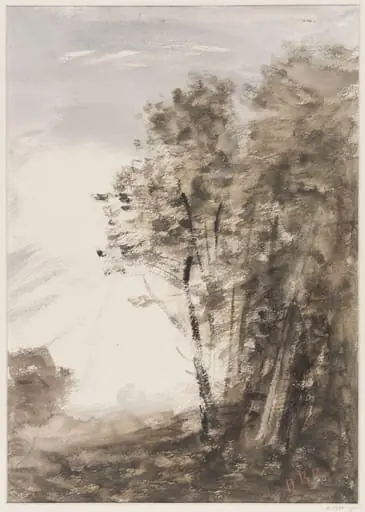 Landscape with trees, by Brabazon