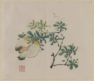 Branch with Pomegranate