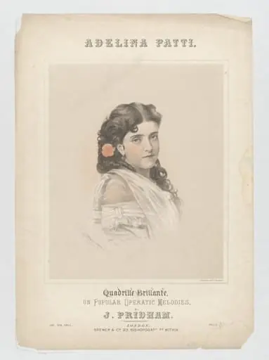 H Beard Print Collection, by Brewer & Co.
