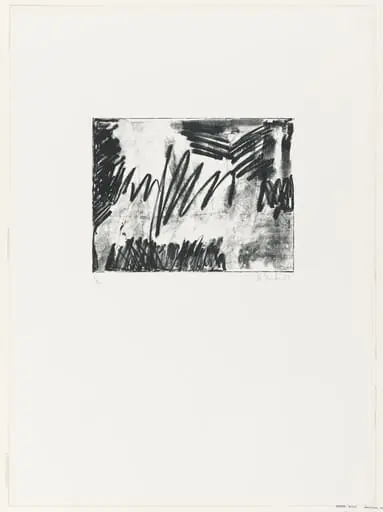 Untitled, by Brice Marden