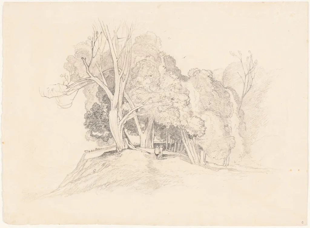 Landscape with Trees, by British 19th Century, graphite, 1812