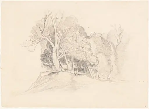 Landscape with Trees, by British 19th Century