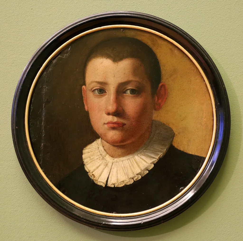 Portrait of a boy, by Bronzino, unspecified, 1540