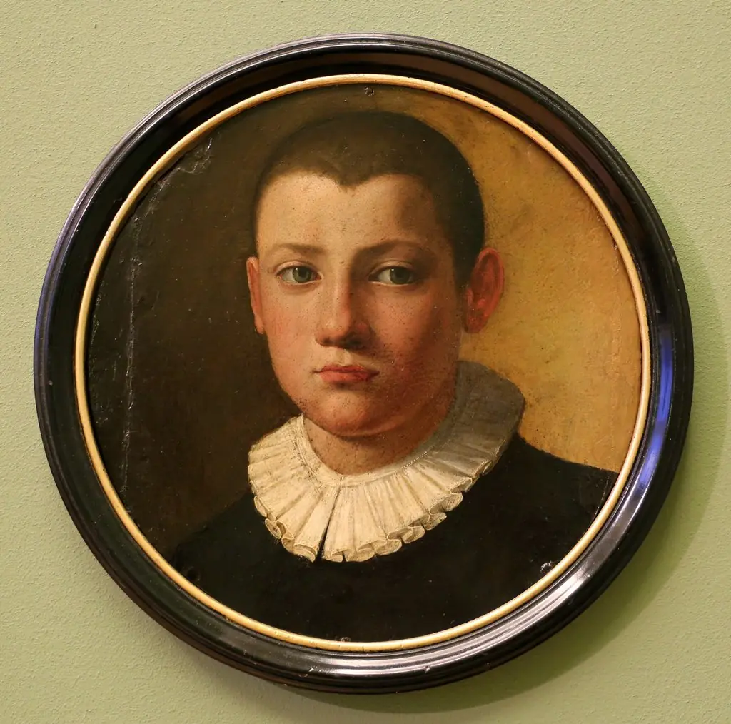 Portrait of a boy, by Bronzino