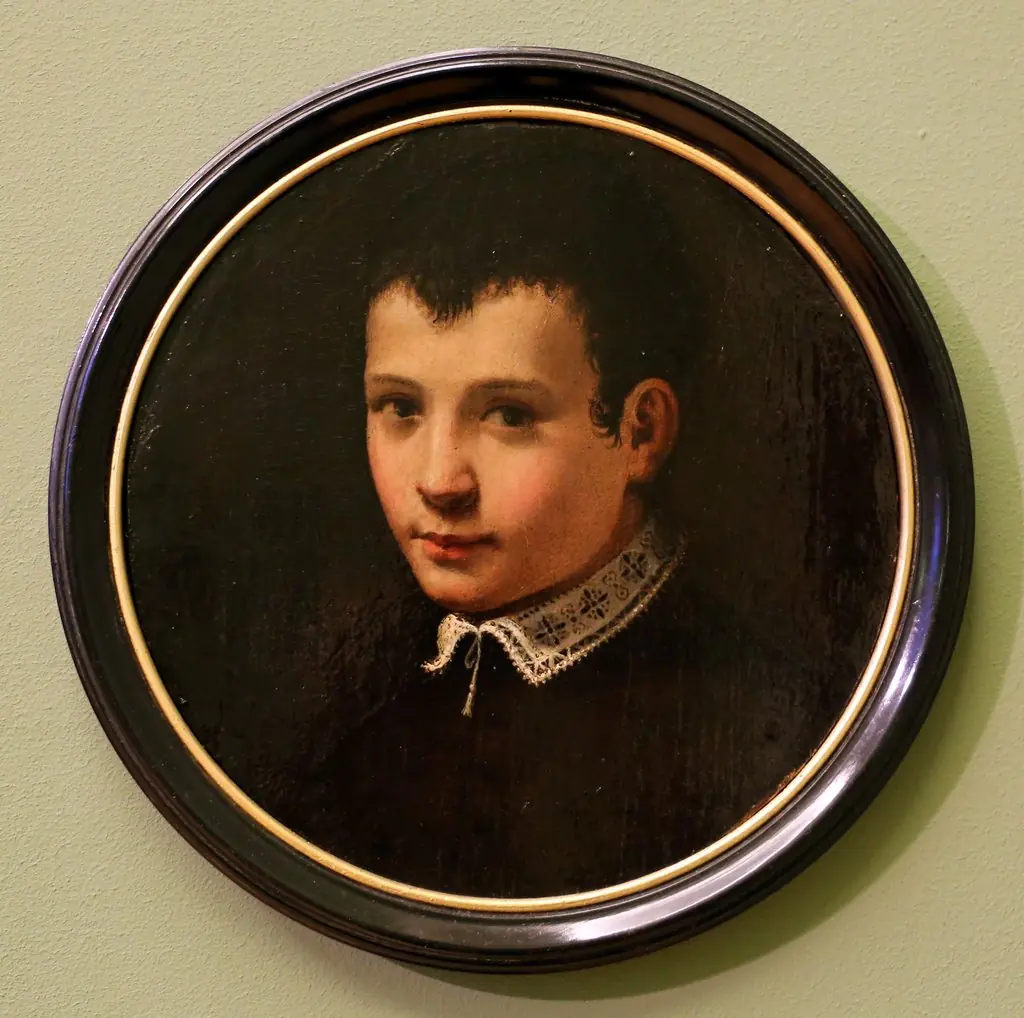 Portrait of a boy, by Bronzino