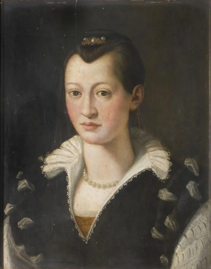 Portrait of a Lady in a Black Dress, by Bronzino, unspecified, 1547