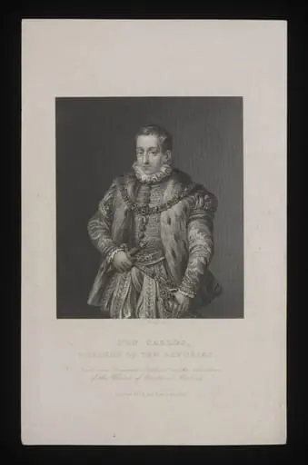 H Beard Print Collection, by Brown