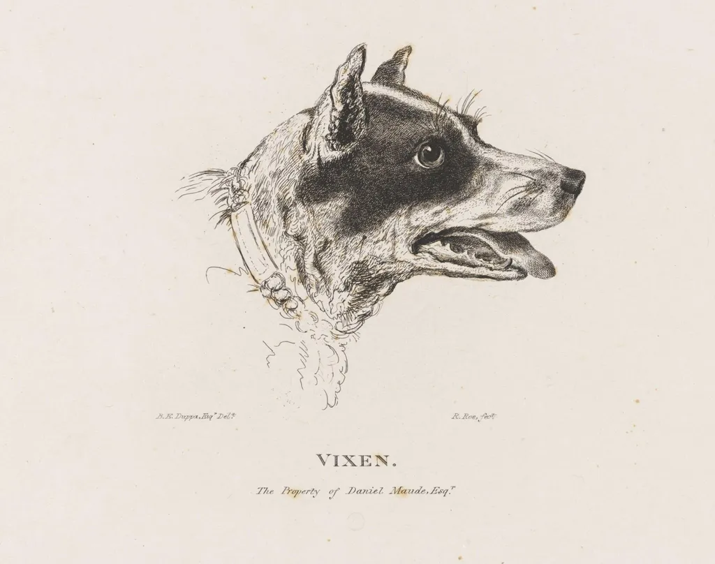 VIXEN, by Bryan Edward Duppa, 1850