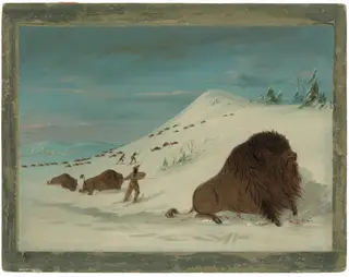 Buffalo Lancing in the Snow Drifts - Sioux, by George Catlin