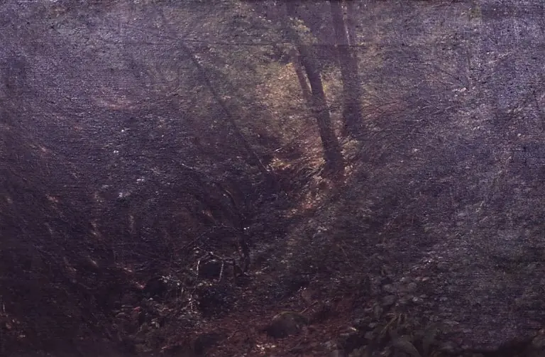 Forår i en kløft, by C. A. Kølle
