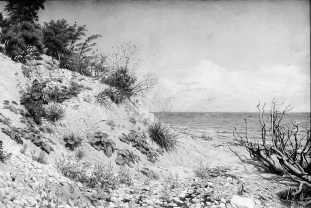 Parti ved Møens strand, by C. A. Kølle