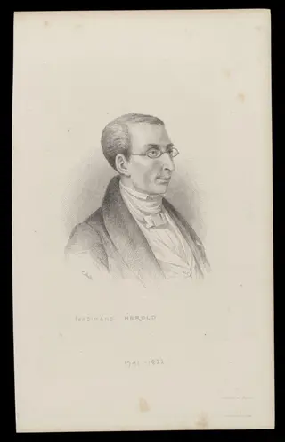 H Beard Print Collection