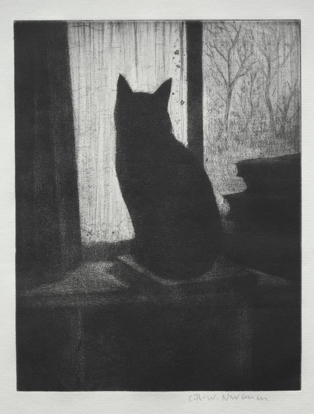 The Cat, by C. R. W. Nevinson, 1904