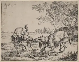 The Disputed Meat (La viande disputé), by Jan le Ducq, ink, 1661