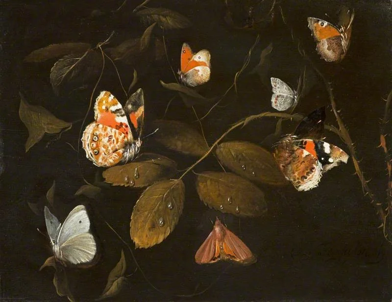 Six Butterflies and a Moth on a Rose Branch (Sept Papillions sur une Branche de Rosier), detail