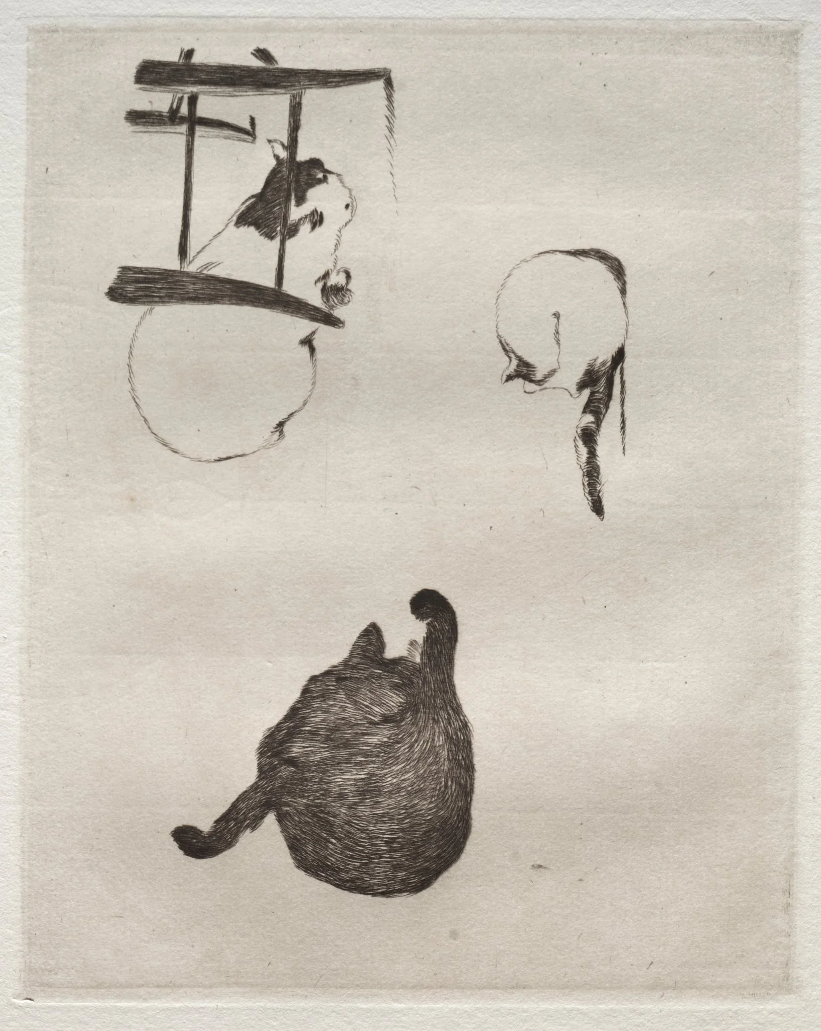 The Cats, detail