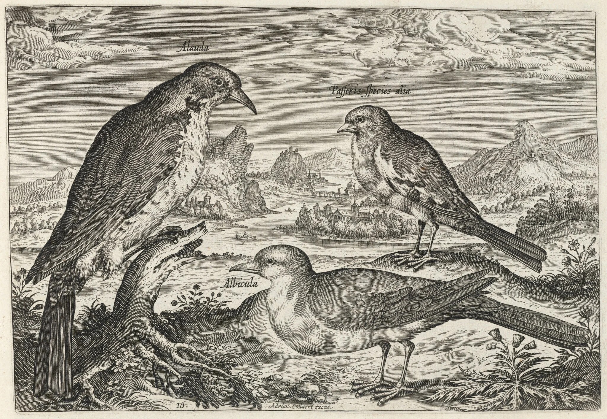 Lark and Two Smaller Birds, detail