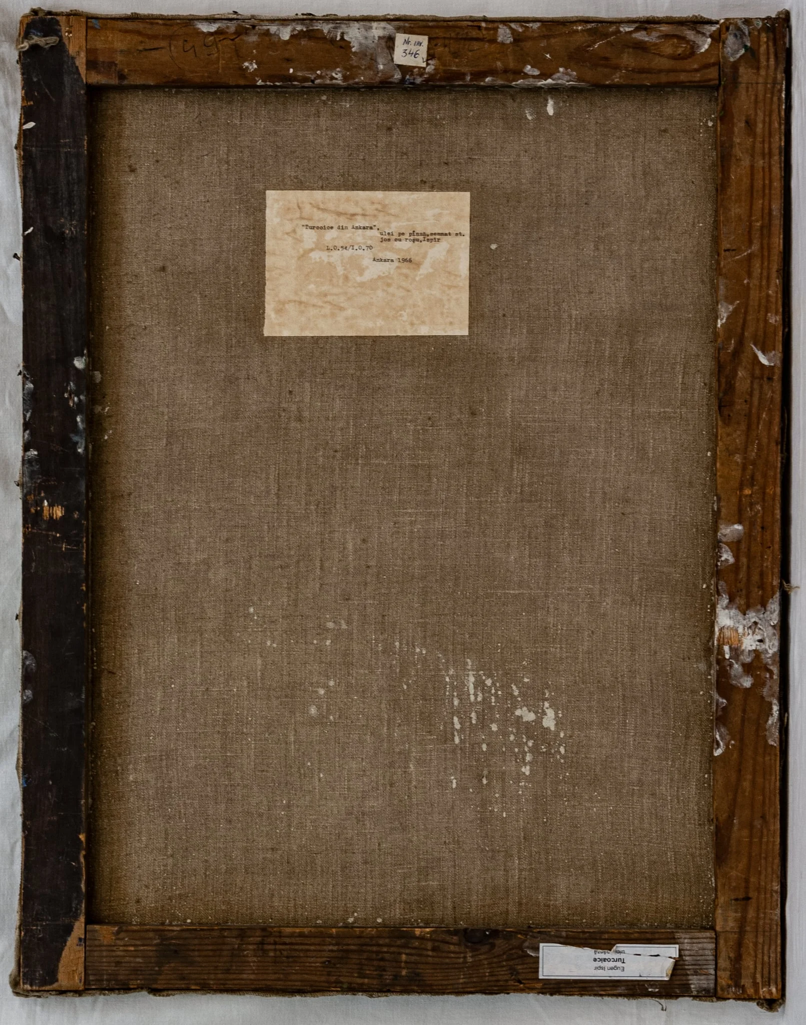 Turcoaice, detail