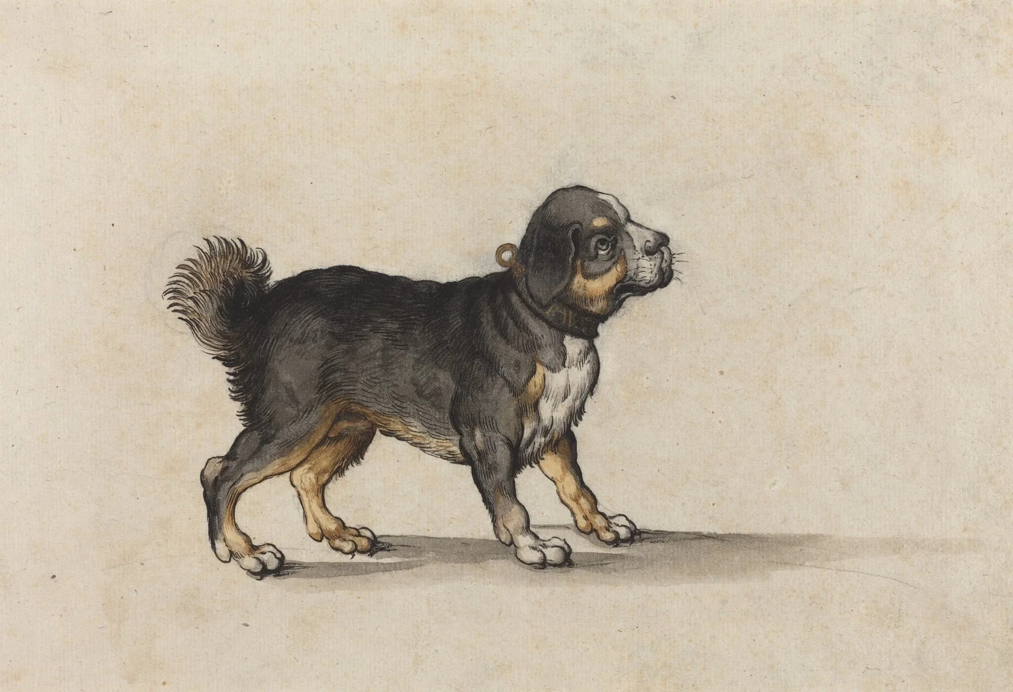 A Mastiff with a Gold-Tooled Collar, detail