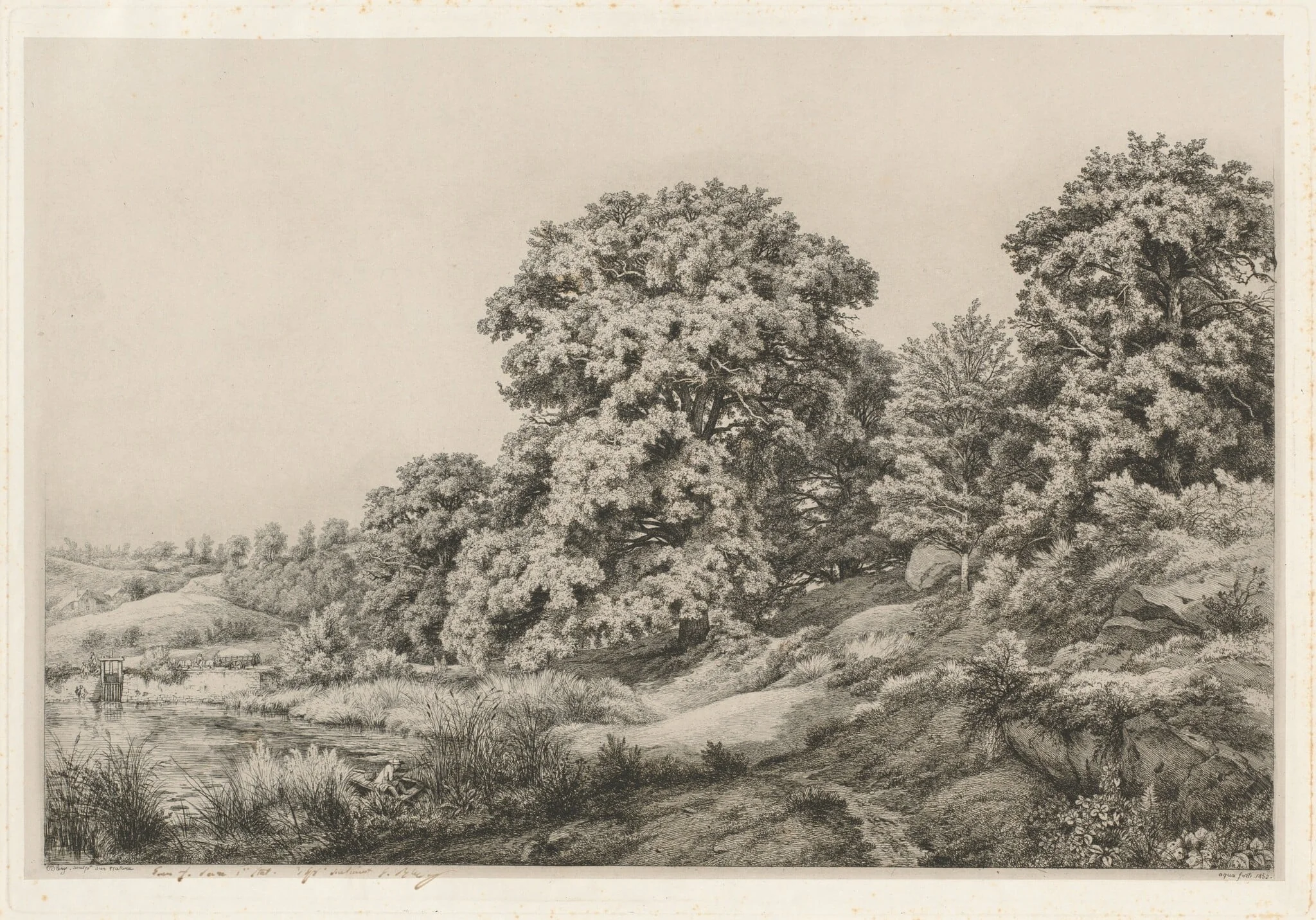 Oaks near a Pond, detail