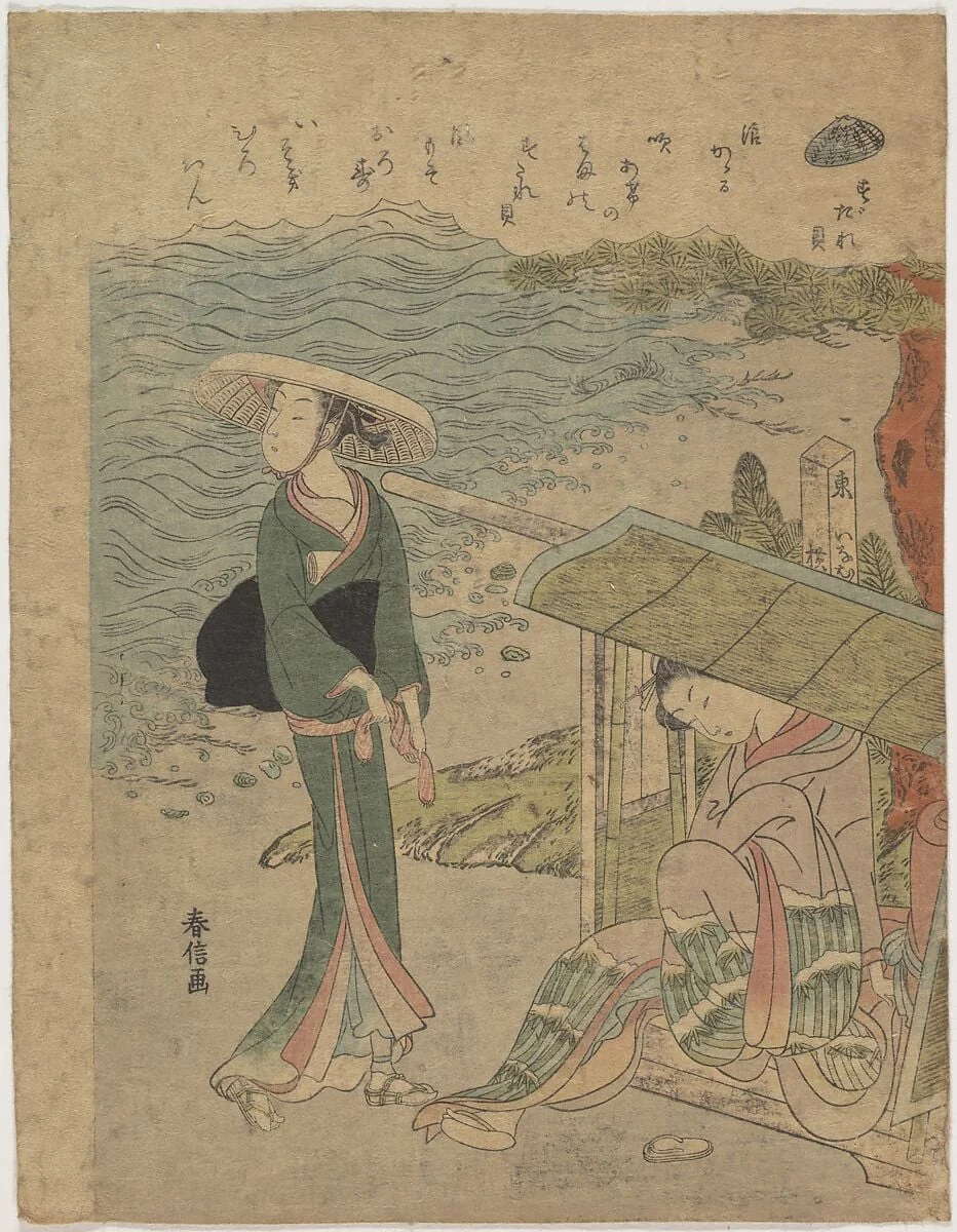 すだれ貝|The Curtain Clam, detail