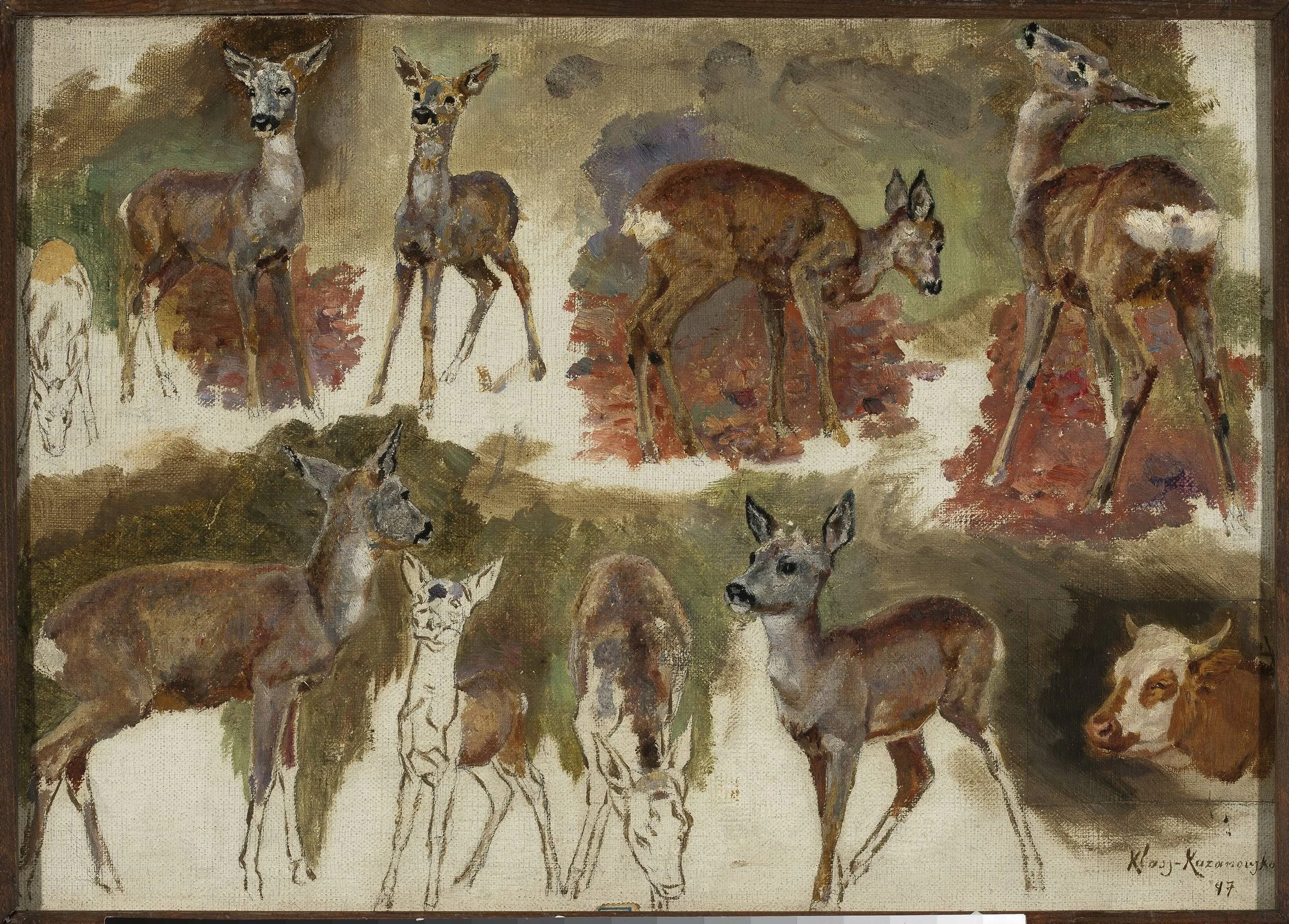 Studies of does, detail