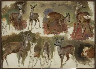 Studies of does, by Maria Klass-Kazanowska, unspecified, 1899