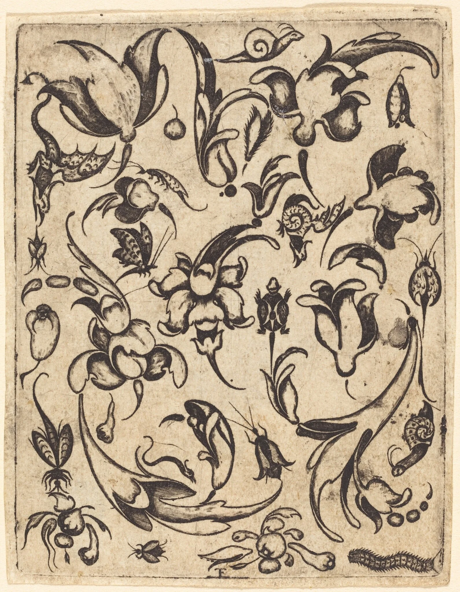 Ornament, detail