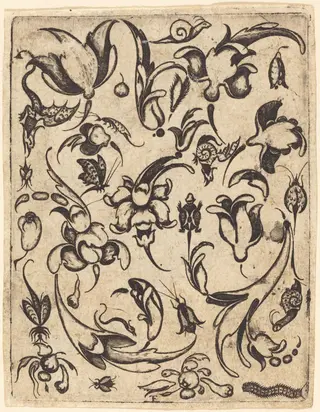 Ornament, by Master T.F., ink, 1540