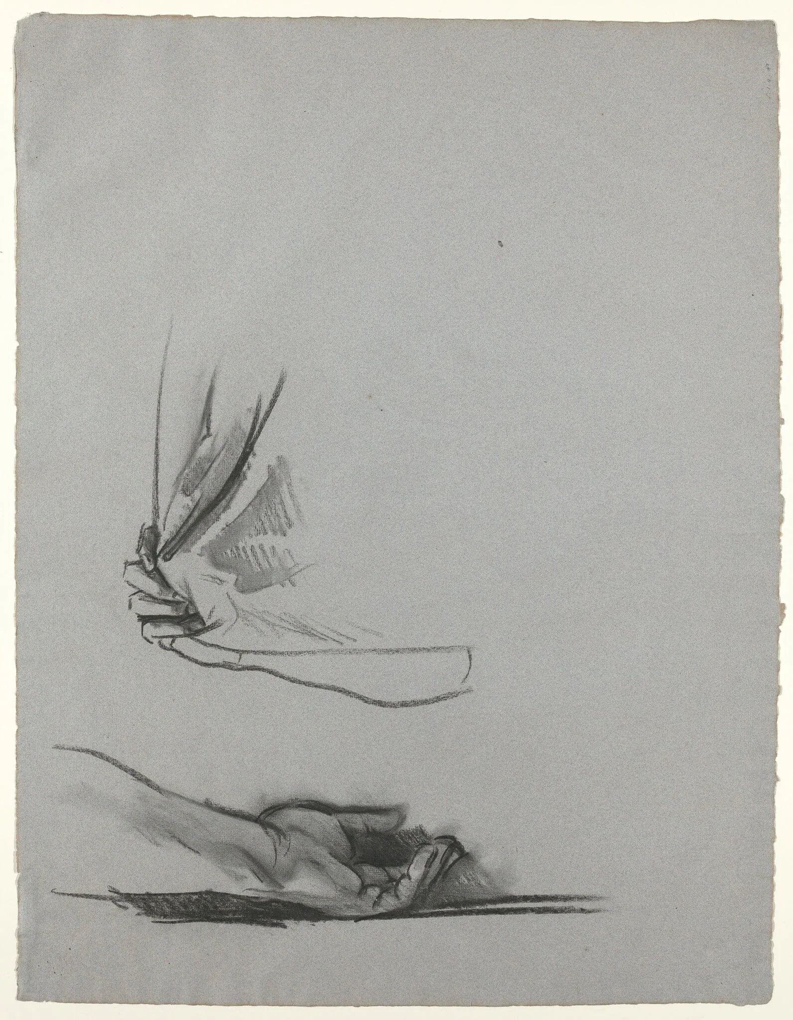 Studies of Hands, detail