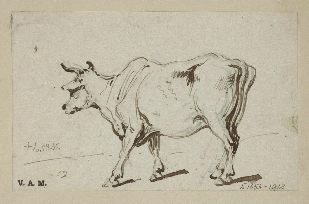 A standing cow, by George Chinnery, 18