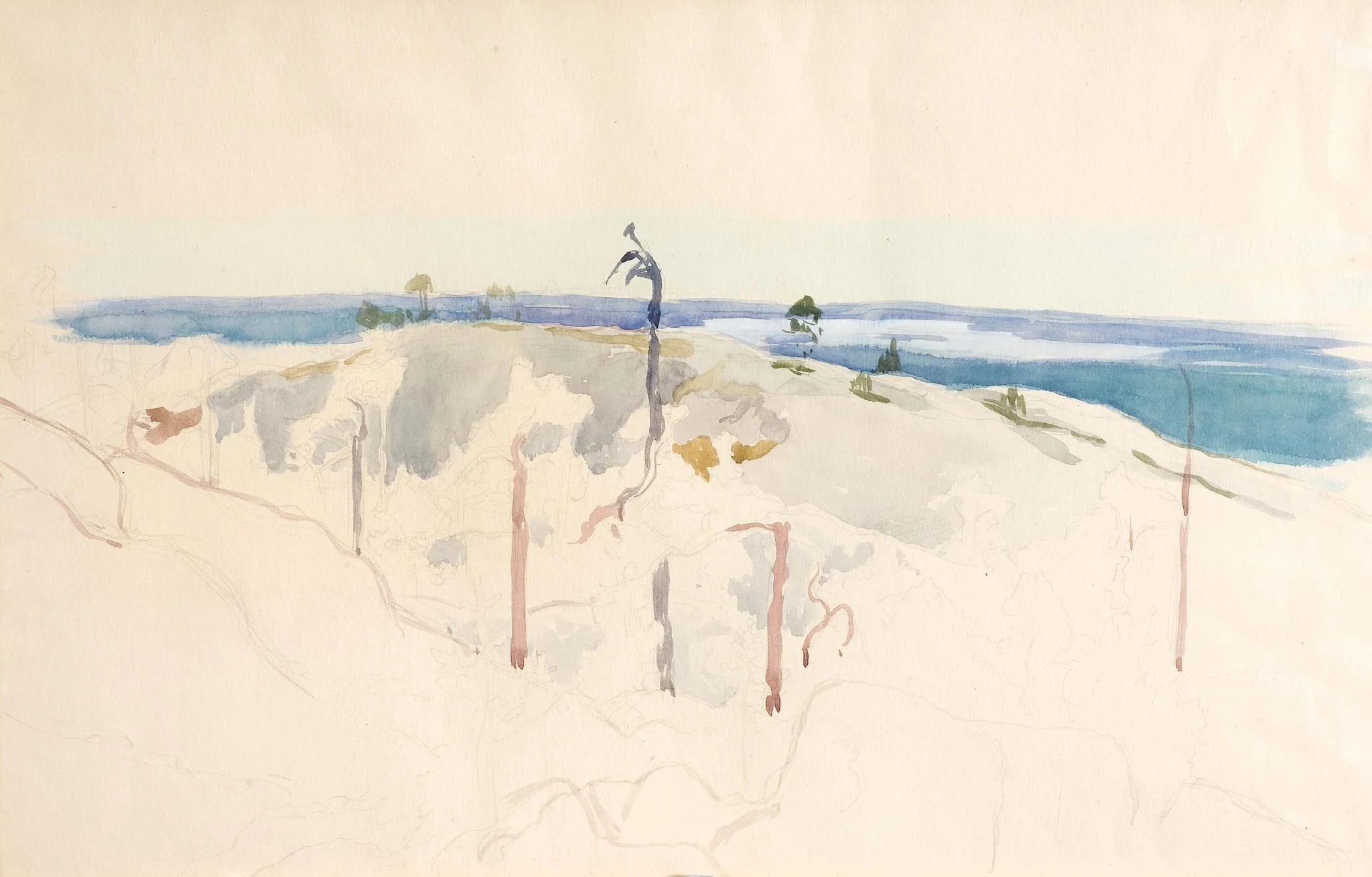 Koli, luonnos, detail