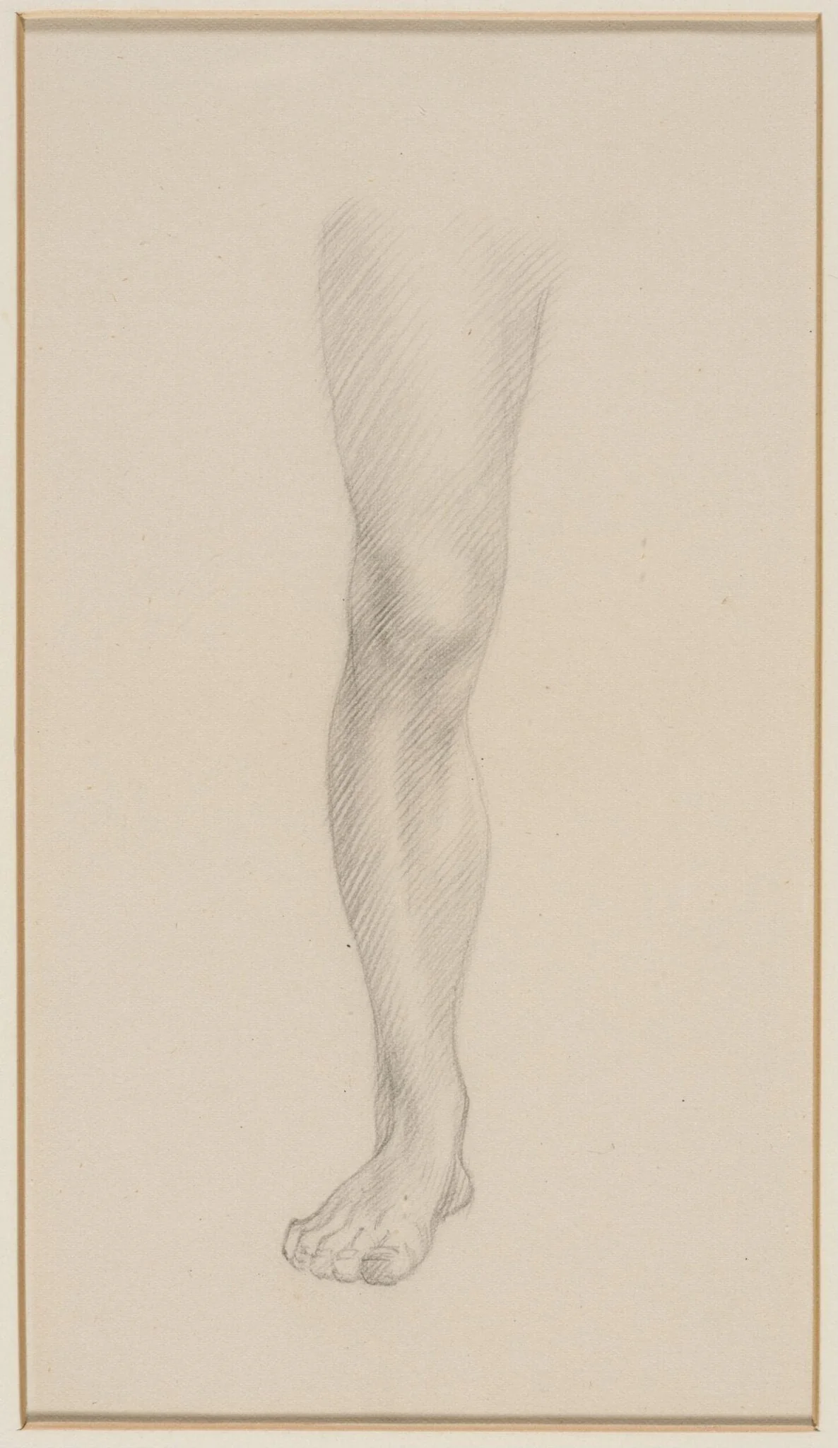 Leg, detail