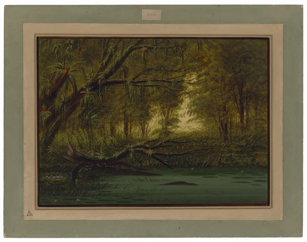 An Alligator's Nest, by George Catlin, oil, 1862