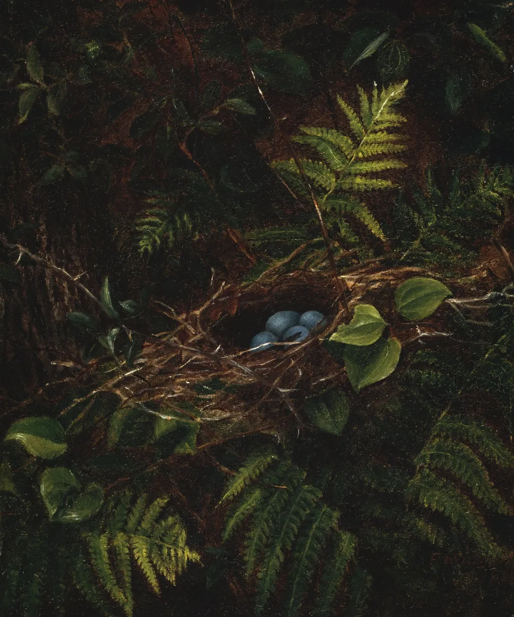 Bird's Nest and Ferns, by Fidelia Bridges, oil, 1863
