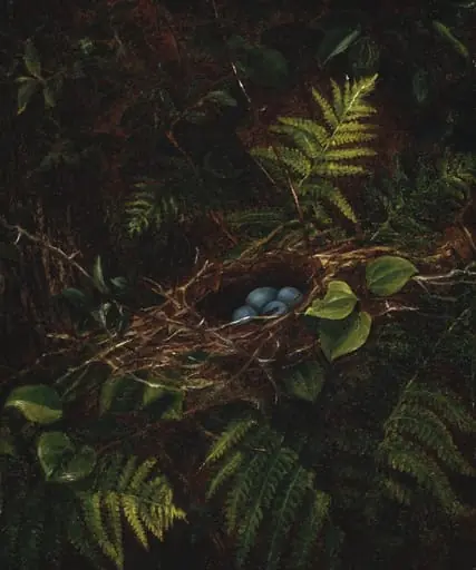 Bird's Nest and Ferns, by Fidelia Bridges, oil, 1863