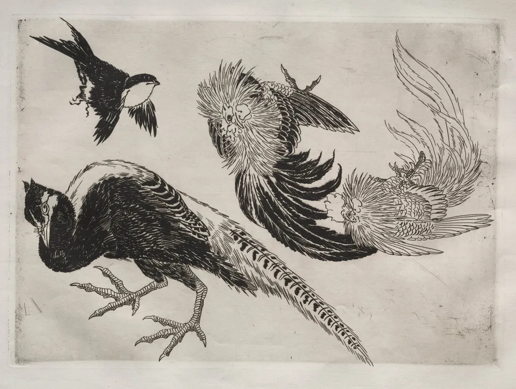 Dinner Service (Rousseau service): Pheasants and bird (no. 18), by Félix Bracquemond, 1866