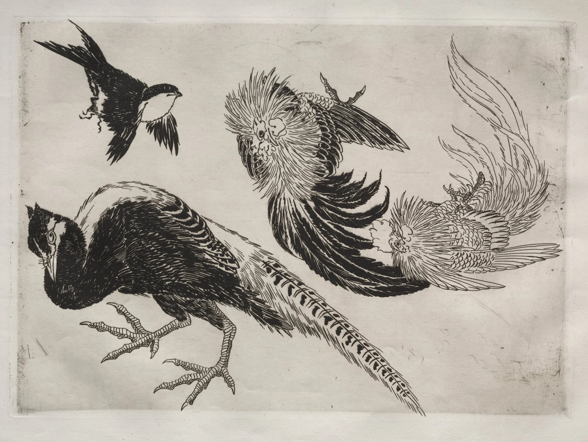 Dinner Service (Rousseau service): Pheasants and bird (no. 18), detail